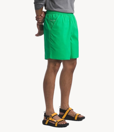 Шорты TNF Wander Short 2.0 (Мужской; S; OpticEmerald)